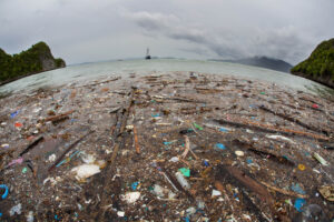 Verschmutzung der Meere